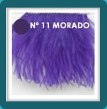 N°11 Morado